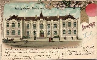 Szigetvár Polgári Leányiskola litho (EK)