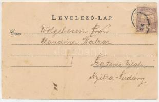1901 Erzsébetváros, Dumbraveni; Issekutz villa, M. kir. honvéd laktanya. Szecessziós-virágos keret /...