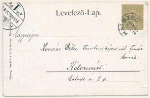 1905 Malomvízszuszény, Szuszény, Suseni; Kolcvár romjai. Kendoff A. és Fia kiadása / Cetatea Colt / ...