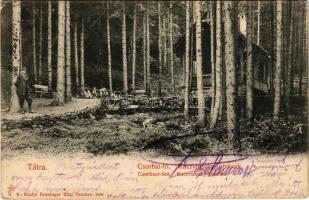1904 Tátra, Magas-Tátra, Vysoké Tatry; Csorba-tó, Kaczvinszky-források. Feitzinger Ede 9. / Csorbaer...