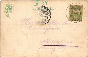 1904 Tátra, Magas-Tátra, Vysoké Tatry; Csorba-tó, Kaczvinszky-források. Feitzinger Ede 9. / Csorbaer...