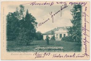 1903 Sadhora, Sadagóra, Sadigura (Chernivtsi, Czernowitz; Bukovina, Bucovina, Bukowina); Salutari di...