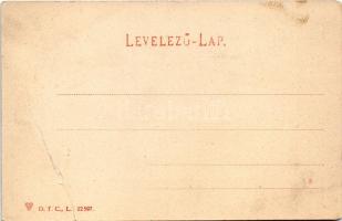 Kolozsvár, Cluj; látkép. D.T.C., L. 22597. / view (fa)