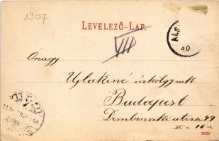1907 Árvaváralja, Oravsky Podzámok; Vár déli része. Neumann József kiadása / castle (Rb)