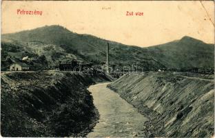 1913 Petrozsény, Petroseni, Petrosani; Zsil vize. W. L. Bp. 1687. / riverside (EB)