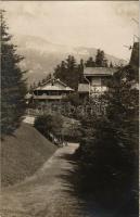 Tátrafüred, Ótátrafüred, Altschmecks, Stary Smokovec (Magas-Tátra, Vysoké Tatry); Flóra villa / vill...