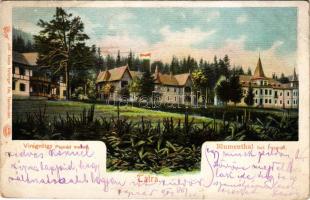 1904 Virágvölgy (Rózsavölgy), Blumenthal, Kvetnica (Tátra, Magas-Tátra, Vysoké Tatry); Poprád mellet...