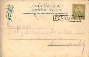1904 Dobsina, Dobschau; Gömör. Dobsinai jégbarlang mellett. Feitzinger Ede 474. Auto-Chrom 1903/13. ...
