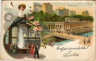 Karlovy Vary, Karlsbad; Mühlbrunnen, Sprudel. Leonhardi's Tinten. Verlag v. Aug. Leonhardi. Lit...