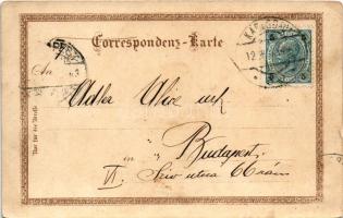 1904 Karlovy Vary, Karlsbad; Etablissement Pupp, Hirschensprung, Stadtparkrestaurant, Sprudel-Colonn...