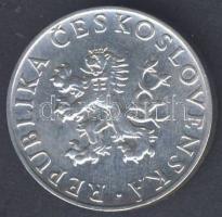 Csehszlovákia 1955. 10K Ag "10. függetlenségi évforduló" T:2 ph