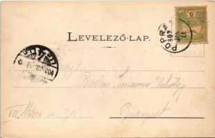 1903 Kassa, Kosice; Fő utca, Andrássy kávéház, piac, "keztyű" gyár. Egy és kétkoronás áruh...