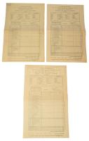 1902-1903 Budapesti Önkéntes Mentő Egyesület 3 db havi kimutatása, 40x25 cm