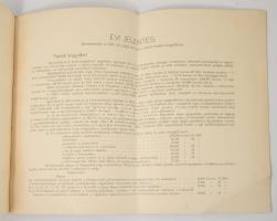 1913 Magyar Lovaregylet. Évi jelentés és számadások az egylet összes bevételei és kiadásai, ingó és ...