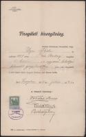 1915 Szeged, lokomobil gőzgépkezelői vizsgabizonyítvány, aláírásokkal, 1K okmánybélyeggel, "A g...