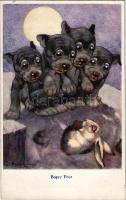 "Bogey Four" Bonzo dogs with rabbit. The R.P.S. Series 1027. s: G. E. Studdy