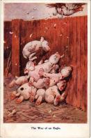 "The Way of an Eagle" Bonzo dogs with chicken. The R.P.S. Series 1015. s: G. E. Studdy