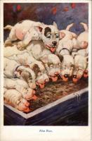 "Also Ran" Bonzo dogs eating. The R.P.S. Series 1006. s: G. E. Studdy