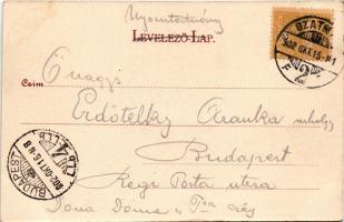 1902 Szatmárnémeti, Szatmár, Satu Mare; színház, Termény és Hitelbank rt. Lövy Miksa kiadása / theat...