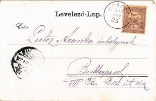 1900 Balatonszárszó, Szárszó; fantázia művészlap. litho (EK)