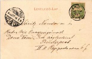 1903 Sárbogárd, Csendőrségi laktanya. Braun Miksa kiadása