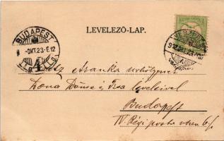 1902 Veszprém, vár látképe. Pósa Endre kiadása (fl)