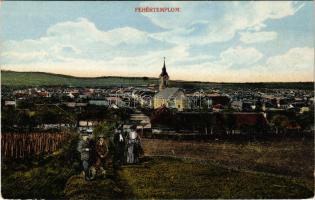 1914 Fehértemplom, Ung. Weisskirchen, Bela Crkva; látkép. Haller Lajos kiadása / general view