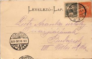 1901 Nagykanizsa, Városháza, Csengeri utca, Deák tér, Fő tér, vaskereskedés, Klein üzlete, asztalos....