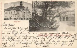 1899 Nagybecskerek with Regional hall