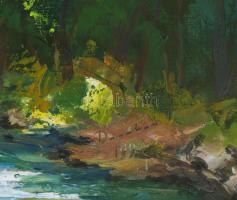 Darabán János (1934-2015): Tisza, Hoverla hegy a háttérben, Kárpátalja, 1999. Olaj, vászon, jelezve ...