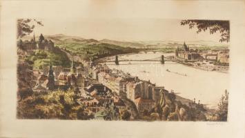 Zádor István (1882-1963): Budapesti látkép. Színezett rézkarc, papír, jelzett. 24x49,5 cm