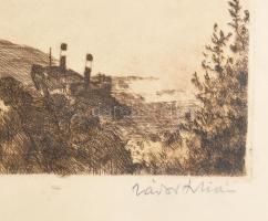 Zádor István (1882-1963): Budapesti látkép. Színezett rézkarc, papír, jelzett. 24x49,5 cm