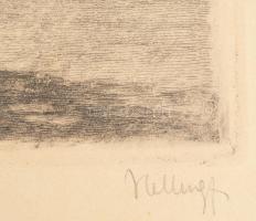 Helbing Ferenc (1870-1958): Margitsziget, Budapest. Rézkarc, papír. Jelzett. Paszpartuban. 21x29 cm