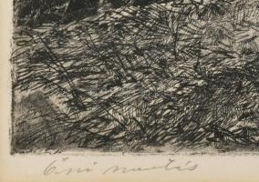 Csergezán Pál (1924-1996): Őszi szántás, rézkarc, papír, jelzett, paszpartuban, 29,5×39 cm