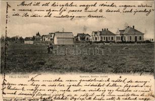 1905 Balatonszemes, Faluszemes; Nyaralók a Balaton mellett. Balázsovich Gyula kiadása