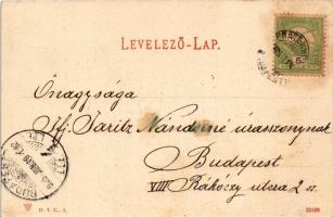 1905 Balatonszemes, Faluszemes; Nyaralók a Balaton mellett. Balázsovich Gyula kiadása