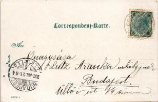 1902 Eggenburg, view. Franz Lakner