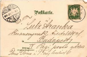 1901 Bad Reichenhall, Ruine Karlstein / castle ruins. litho (EM)