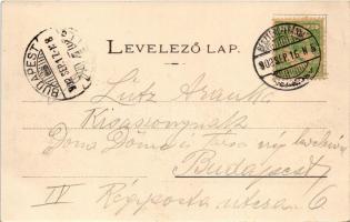 1902 Besztercebánya, Banská Bystrica; IV. Béla király tér, szökőkút, Holesch Árpád, Seidner üzlete, ...