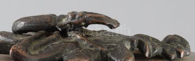 Levélnehezék. Szarvasbogár, tölgyfalevélen. Bronz, nikkelezett vas 17 cm