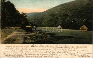 1906 Ebedec, Obyce (Aranyosmarót mellett / near Zlaté Moravce); Részlet az ebedeci erdőből, kunyhó. ...