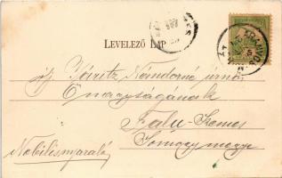 1906 Ebedec, Obyce (Aranyosmarót mellett / near Zlaté Moravce); Részlet az ebedeci erdőből, kunyhó. ...