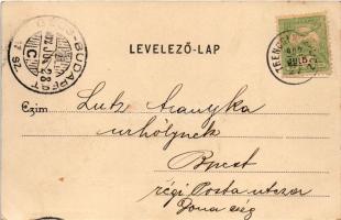 1902 Trencsénteplic, Trencianske Teplice; látkép / Totalansicht / general view + "BÉCS - BUDAPE...