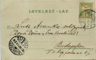 1902 Léva, Levice; Báti út, Főgimnázium, Takarékpénztár, Hitelintézet, kórház, Nyitrai és Társa köny...