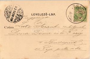 1902 Tátra, Magas-Tátra, Vysoké Tatry; Nagy-Tarpataki felső vízesés, híd. Divald Károly 319. / Gross...