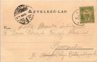 1902 Bakar, Szádrév, Bukar, Bukkari, Buccari; Buccari vom Meer, Bucht von Buccari / látkép, öböl / g...