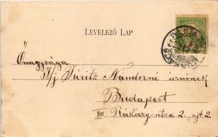 1903 Munkács, Mukacheve, Mukacevo; vár, emlékoszloppal. Bertsik Emil kiadása / castle, monument (fl)