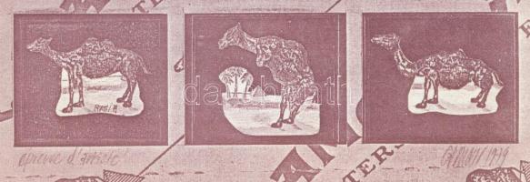Gonzola (-): Camel. Nyomat, papír. Jelzett a nyomaton. 27,5x19,5 cm