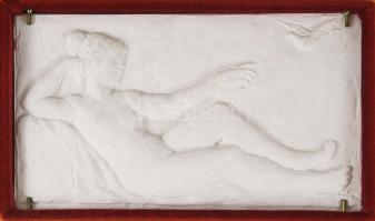 Bi jelzéssel: Aphrodité a galambbal,. Gipsz. masszív fa keretben 29x17 cm 45x33 cm