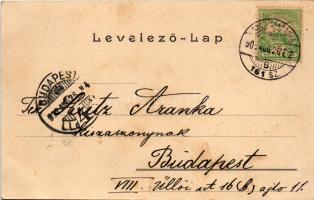 Zombor, Sombor; Város madártávlatból, Fő utca, piac, üzletek. R. Mosinger, Bruck Sándor kiadása / ma...
